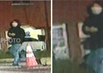 Rakaman CCTV menunjukkan seorang lelaki yang dipercayai suspek utama kes ini memasuki dan meninggalkan kawasan Pangsapuri Damai Ria, Mantin, Seremban sebelum kejadian tersebut.