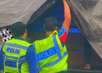 ANGGOTA polis melakukan pemeriksaan ke atas lori yang membawa anak pokok seludup dari Thailand semasa serbuan di Jeli, Kelantan.-IHSAN POLIS JELI