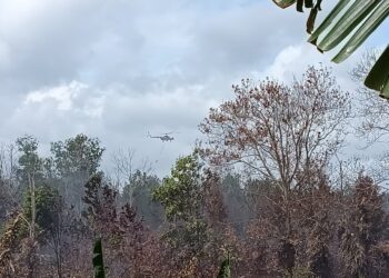 KERJA-kerja pemadaman kebakaran menggunakan helikopter di Taman Bayu Damai, Pengerang, Kota Tinggi, hari ini.