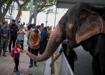 ORANG ramai melihat pelbagai haiwan dipamerkan pada Hari Terbuka Putrajaya 2026 di Dataran Putrajaya. - UTUSAN/FAIZ ALIF ZUBIR
