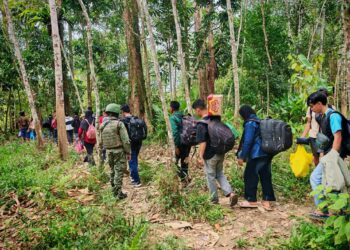 SEKUMPULAN 21 orang PATI warganegara Indonesia diusir balik ke negara mereka selepas ditahan oleh pasukan TDM ketika cuba menyusup masuk ke Sarawak menggunakan jalan tikus di Lundu, semalam.