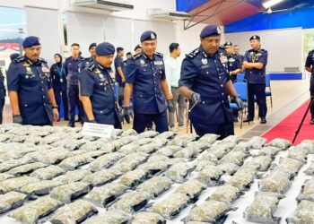 HUSSIEN Omar Khan (kanan) menunjukkan bunga ganja yang dirampas dalam serbuan di sekitar Kelantan pada awal Januari lalu. - UTUSAN/ROSMIZAN RESDI