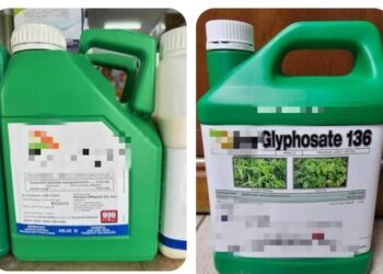 KAJIAN mendapati pendedahan glifosat berkait rapat de­ngan pelbagai masalah kesihatan.