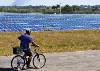 solar adalah antara segmen utama yang menyumbang kepada tenaga boleh baharu di negara ini yang mana ada antara syarikat bumiputera sudah terlibat dalam bidang ini sejak lebih 30 tahun lalu. – AFP