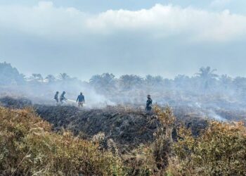 ANGGOTA bomba memadam kebakaran di Hutan Simpan Kuala Langat Selatan dekat Sungai Kelambu, Kuala Langat, Selangor, semalam. – JBPM SELANGOR
