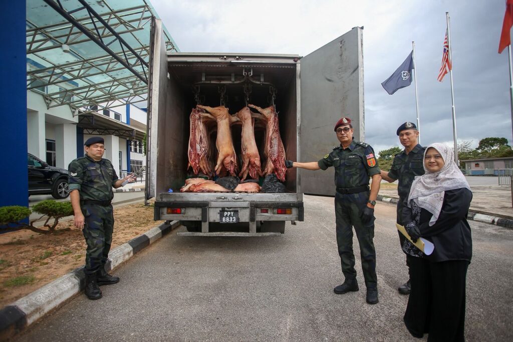40 karkas babi gagal diseludup ke Pulau Pinang