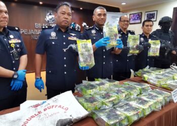 ALZAFNY Ahmad (tiga dari kiri) menunjukkan dadah yang dirampas pada sidang akhbar di  IPK Negeri Sembilan di Seremban hari ini. – UTUSAN/MOHD. SHAHJEHAN MAAMIN