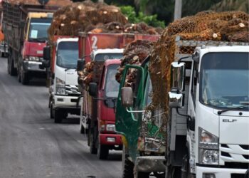 LORI menjadi tulang belakang utama pergerakan kargo, manakala rel dan pengangkutan laut kekal sebagai pilihan sampingan.