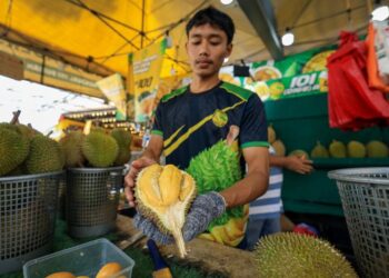 HARGA durian Musang King yang lebih mesra poket membuka peluang agar nikmat raja buah ini dapat dinikmati oleh keluarga sederhana, pekerja harian dan golongan muda.