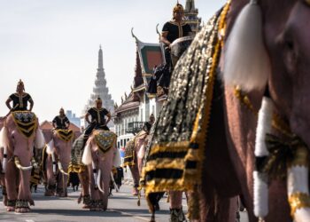 GAMBAR fail menunjukkan para mahout menunggang gajah yang dicat ketika berarak berhampiran Istana Besar sempena penghormatan kepada bekas ratu Thailand Sirikit di Bangkok.- AFP