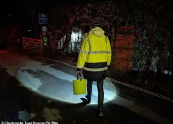 SEBATANG jalan raya ditutup bagi memberi laluan kepada ribuan katak. - Foto Charlcombe Toad Rescue/PA Wire
