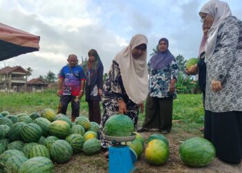 NOREHA Ahim (dua dari kanan) melayan pelanggan memilih tembikai di kebunnya di Kampung Mengabang Kapal, Kuala Nerus, Terengganu.