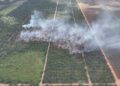 KEBAKARAN di Ladang Peninsular Plantation Sdn. Bhd., Simpang Renggam, Johor yang melibatkan empat hektar ladang kelapa sawit dan lima hektar ladang nanas. – UNIT DRON JBPM JOHOR