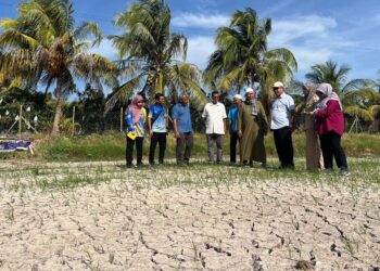 MEGAT Hashirat Hassan (tiga dari kanan) meninjau keadaan sawah yang kering-kontang berikutan cuaca panas yang terus berlarutan di Kampung Guar Halban, Arau, Perlis, semalam. -UTUSAN/ASYRAF MUHAMMAD