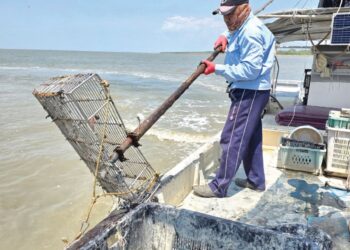 MOHD. Nahar Sarip menggunakan peralatan khas untuk menyauk kerang di muara Sungai Tiang di Bagan Datuk, Perak. – UTUSAN/AIN SAFRE BIDIN