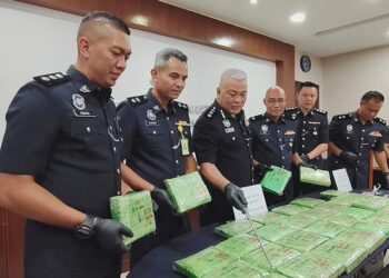 ABANG Zainal Abidin Abang Ahmad (tiga dari kiri) menunjukkan bungkusan plastik berisi ketulan mampat daun kering disyaki ganja dalam sidang akhbar di IPD Ipoh hari ini.