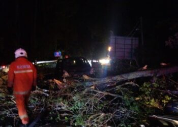 ANGGOTA bomba sedang melakukan kerja-kerja pemotongan dan pembersihan pokok di Jalan Seremban-Tampin berhampiran sebuah restoran di Tampin malam tadi.-GAMBAR /IHSAN BOMBA
