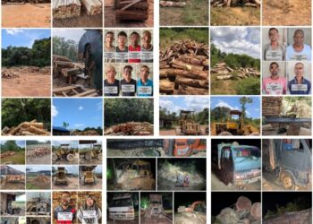 PGA rampas kayu balak hampir RM3 juta di Kelantan, Terengganu