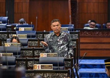 SAIFUDDIN Nasution Ismail