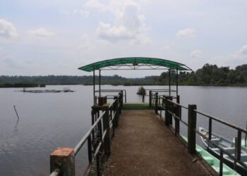 EKOSISTEM Tasik Bera di Pahang perlu dipelihara supaya kawasan itu tidak menjadi seperti Tasik Chini yang mengalami kerosakan ekologi.
