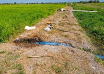 SUMBER bekalan air di Perlis khususnya untuk kegunaan domestik dan pertanian masih mencukupi meskipun negeri ini sudah merekodkan hampir 40 hari tanpa hujan.