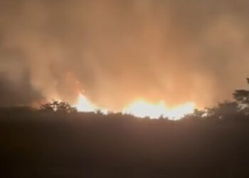 Hutan Simpan Sungai Kelambu