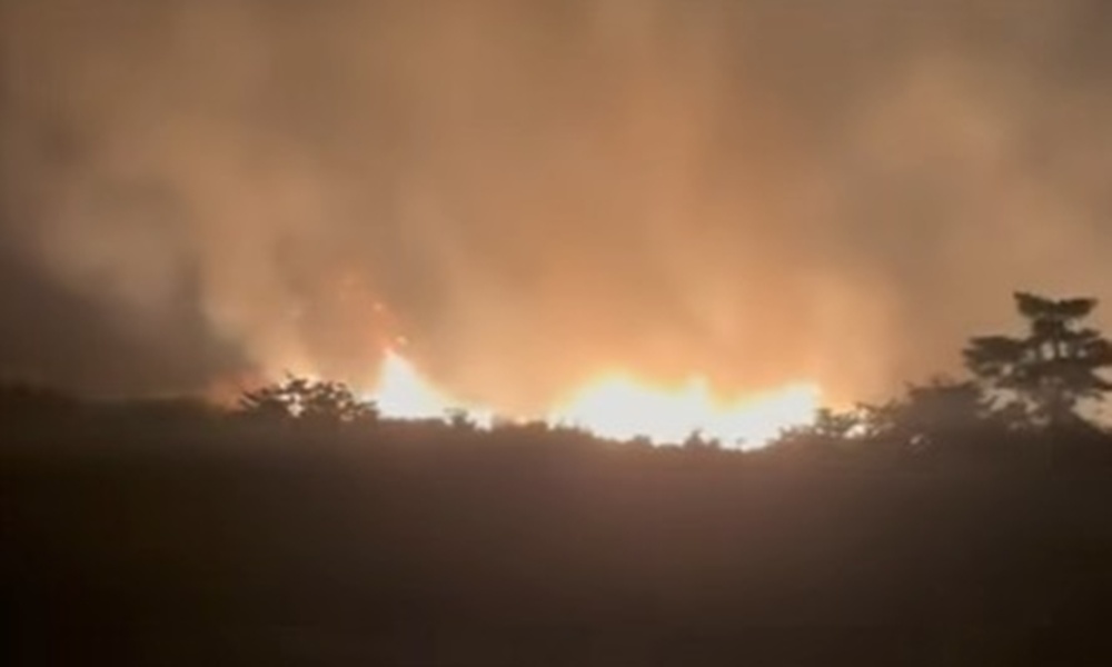 Hutan Simpan Sungai Kelambu