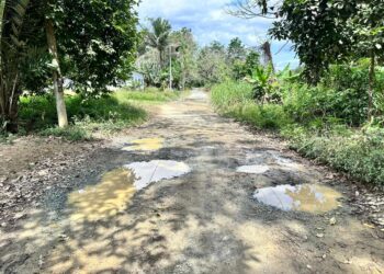 JALAN utama yang berlubang dan ditakungi air di Kampung Kuala Sat, Jerantut, Pahang. – UTUSAN/HARIS FADILAH AHMAD