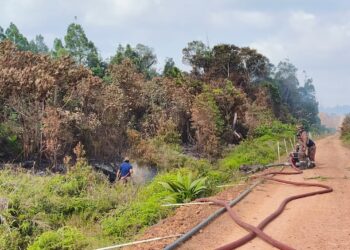 ANGGOTA bomba sedang melakukan pemadaman kebakaran hutan di Bio Desaru, Kota Tinggi, Johor.