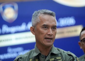 Mohd Shuhaily Mohd Zain