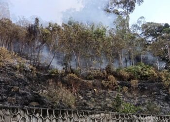 KEBAKARAN hutan yang berlaku di Botanical Gardens, Jalan Kebun Bunga, George Town, Pulau Pinang sejak petang semalam merebak dengan pantas sehingga melibatkan kawasan seluas lapan hektar ketika ini.-IHSAN/JBPM PULAU PINANG
