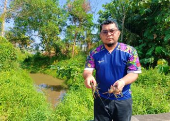 MUHAMAD Tarmize Mohd. Nor menunjukkan udang kara yang diperolehnya ketika membubu di parit Kampung Si Rusa Dalam, Port Dickson.
