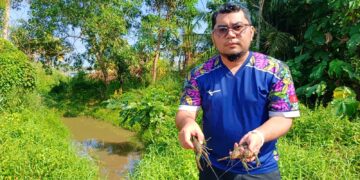 MUHAMAD Tarmize Mohd. Nor menunjukkan udang kara yang diperolehnya ketika membubu di parit Kampung Si Rusa Dalam, Port Dickson.