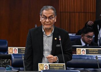 DR. DZULKEFLY AHMAD