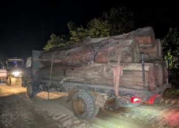 LORI yang membawa kayu balak berjaya ditahan PGA dalam serbuan di Ladang Serasa, Paloh, Gua Musang, Kelantan