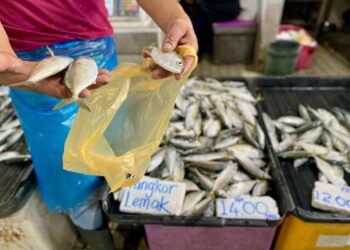 HARGA pasaran ikan kembung dijual antara RM8 hingga RM14 sekilogram mengikut gred di Pasar Besar Alor Setar, Kedah.