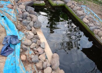 KOLAM ikan tempat kanak-kanak lelaki ditemukan lemas di Kampung Perik, Kuala Nerang di Padang Terap.