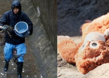 PUNCH sentiasa bergayut pada kaki penjaga zoo yang masuk ke dalam kandang untuk memberi monyet-monyet makan membuktikan kisah sedihnya  yang dibuang ibunya meruntun hati warganet di seluruh dunia. – AFP