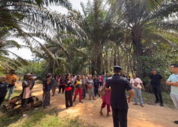 SERAMAI 21 Orang Asli ditahan polis kerana disyaki menceroboh tanah milik Sultan Pahang di Kampung Orang Asli Jemeri di Rompin, Pahang.