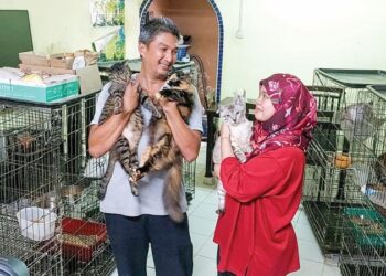 MOHAMMAD Arvin Abdullah bersama Nor Iwani Shahudin memeluk sebahagian kucing jagaan mereka yang diselamatkan dari jalanan di Taman LKNP Bukit Setongkol di Kuantan, Pahang.