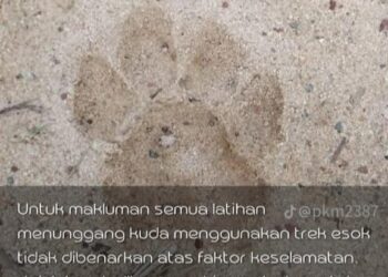 TANGKAP layar kesan tapak kaki yang didakwa milik harimau di Terengganu International Endurance Park (TIEP), Lembah Bidong, Setiu, Terengganu.