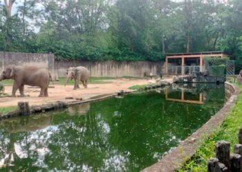 ORANG ramai melawat Zoo Taiping. - UTUSAN/WAT KAMAL