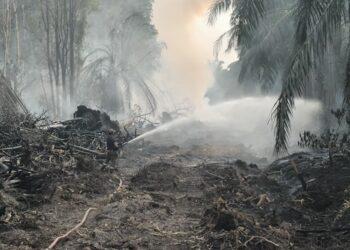 PASUKAN Bomba sedang memadamkan kebakaran di sebuah kebun kelapa sawit  di Jalan Ladang Kampung Tanjung Agas, di sini sejak petang semalam. -GAMBAR / IHSAN BOMBA