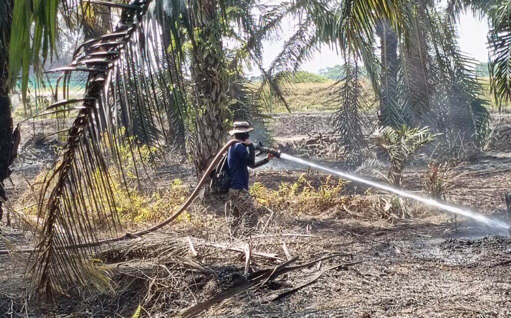 90 peratus daripada 150 hektar kebakaran di Punggai berjaya dipadam