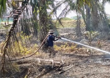 SEBAHAGIAN anggota JBPM Johor melaksanakan operasi pemadaman kebakaran melibatkan kawasan hutan seluas 150 hektar di kawasan Punggai, Pengerang, Kota Tinggi.