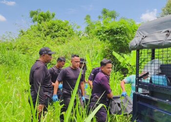 ANGGOTA polis mengangkat mayat lelaki yang dipercayai terkena renjatan elektrik ketika cuba mencuri kabel elektrik di kawasan tanah lapang di Taman Rapat Perdana, Ipoh hari ini.