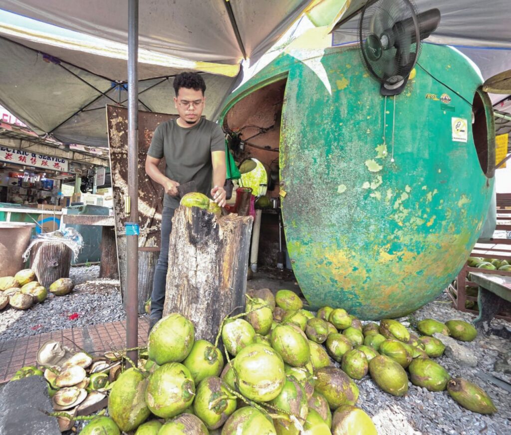 Cuaca panas, jualan kelapa muda meningkat