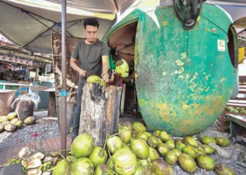 PEKERJA mengupas kelapa muda untuk pelanggan di gerai jualan milik Mohamad Roslan Ishak di bandar Teluk Intan, Perak. – UTUSAN/AIN SAFRE BIDIN