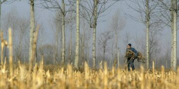 BEKALAN baja untuk tanaman mungkin berkurangan akibat perang Iran. - AFP