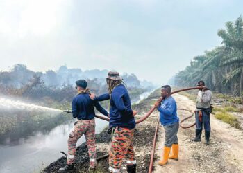 ANGGOTA bomba dibantu pekerja ladang memadam kebakaran di Ladang Agropolitan Nenasi di Pekan, Pahang.